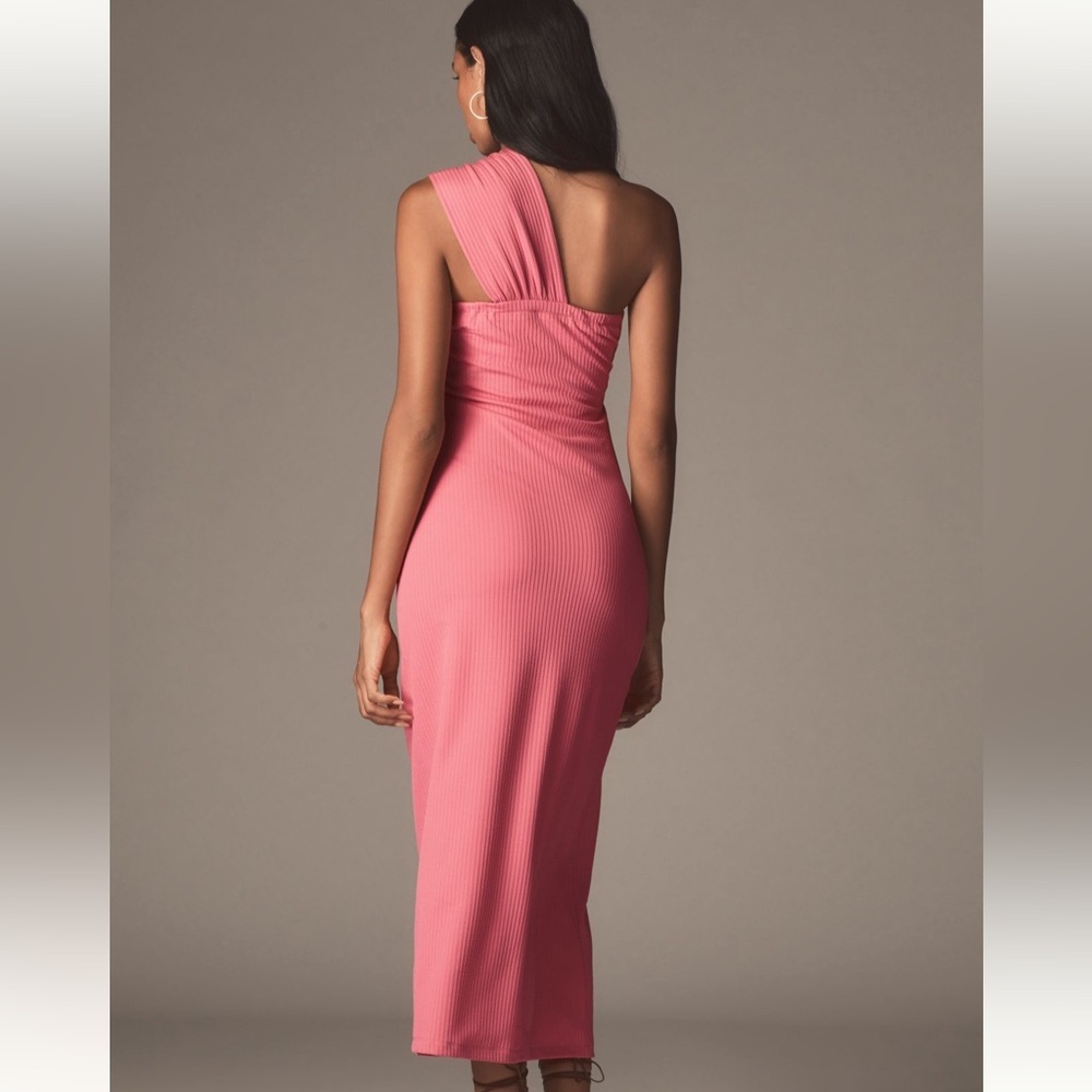 Anthropologie Porridge Elegant Pink Maxi Dress, NWT, Size Large - Picture 4 of 10